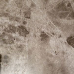 Meet your Posher, Roger